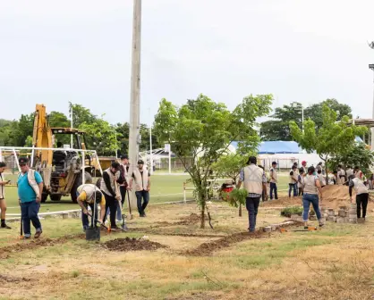 ¡Contra el cambio climático! Comités de Parques Alegres impulsan la sostenibilidad en Culiacán