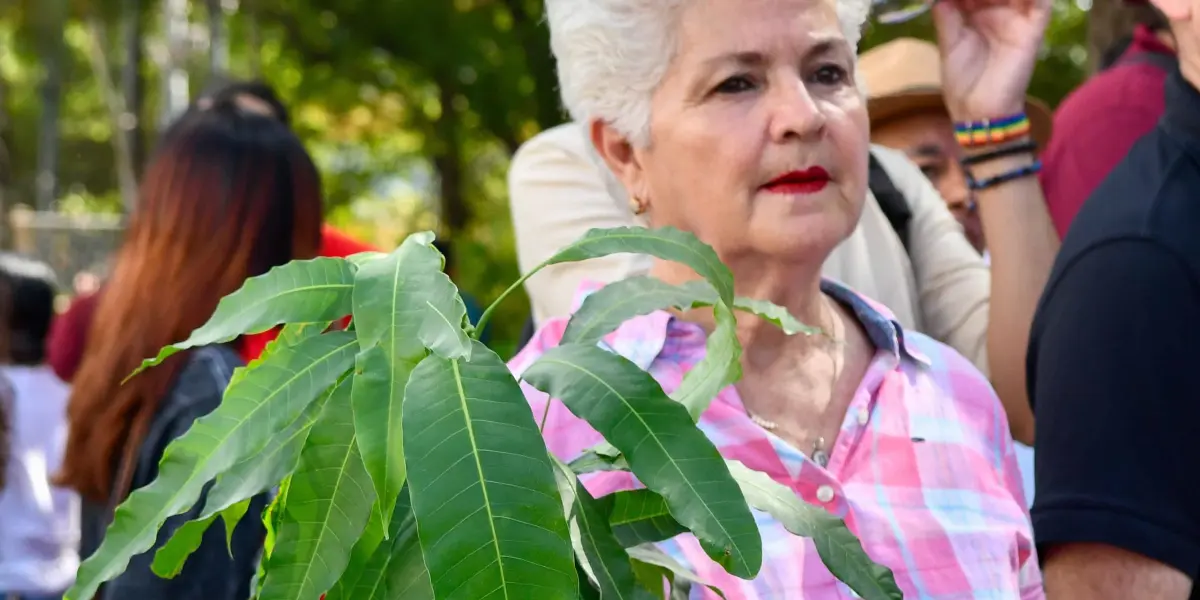 Regalan árboles en Culiacán por Día Mundial del Medio Ambiente.