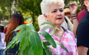 Culiacán conmemora el Día Mundial del Medio Ambiente regalando más de 400 árboles