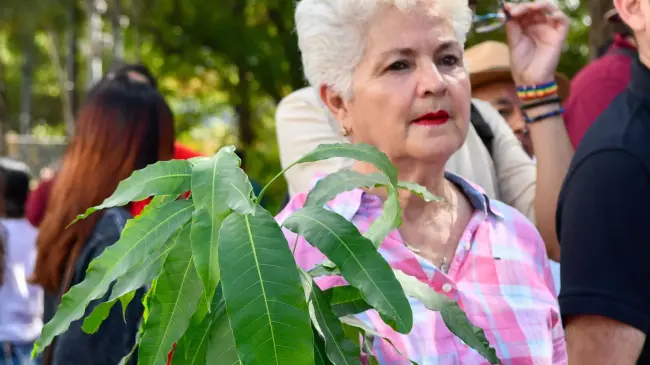 Regalan árboles en Culiacán por Día Mundial del Medio Ambiente.