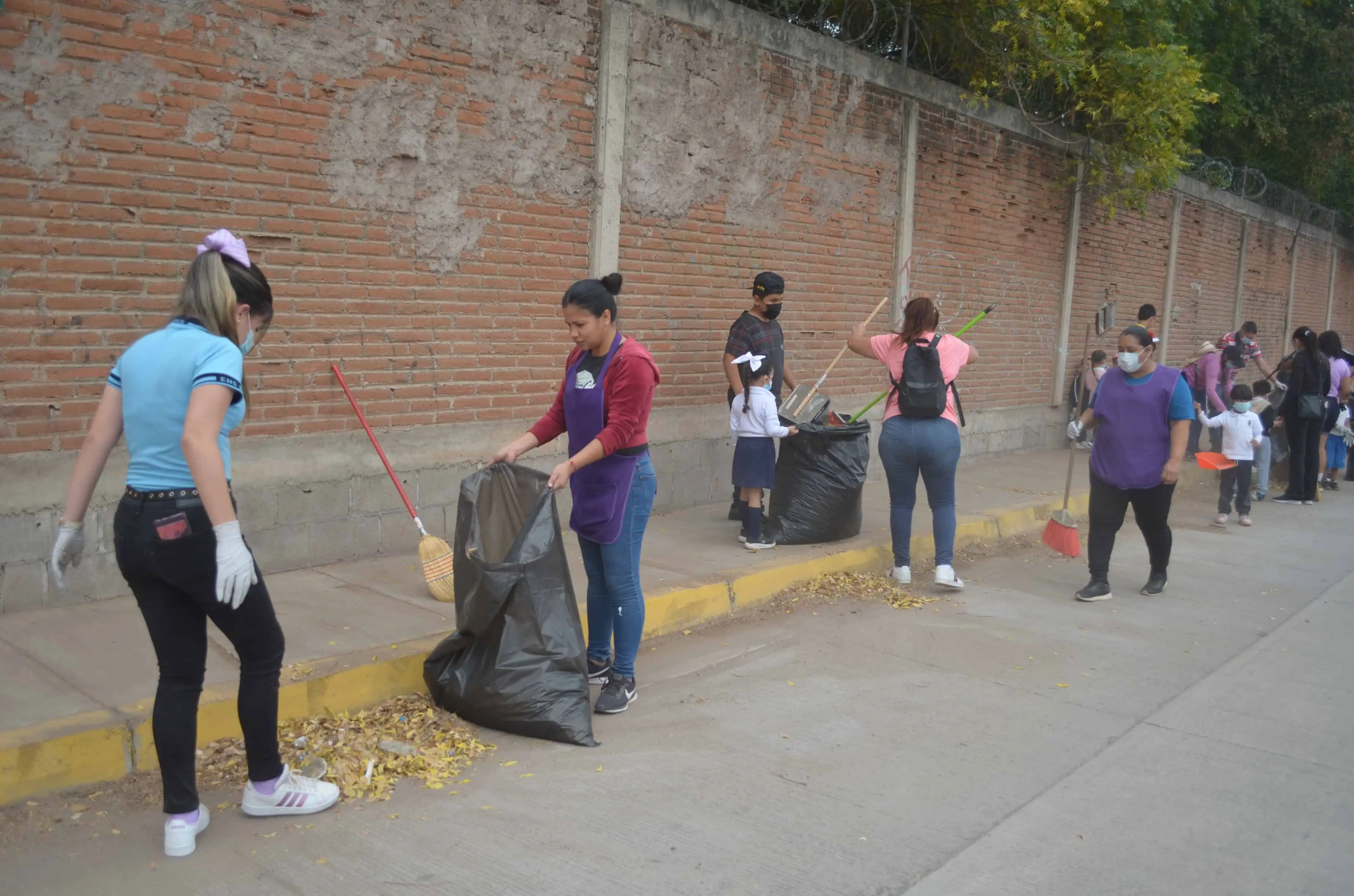 Cuidado del medio ambiente