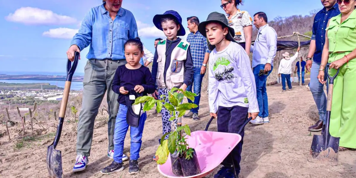 Siembran 350 árboles en el basurón de Mazatlán.