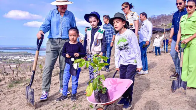 Siembran 350 árboles en el basurón de Mazatlán.