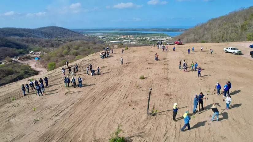 plantan-arboles-en el -basurón -mazatlán