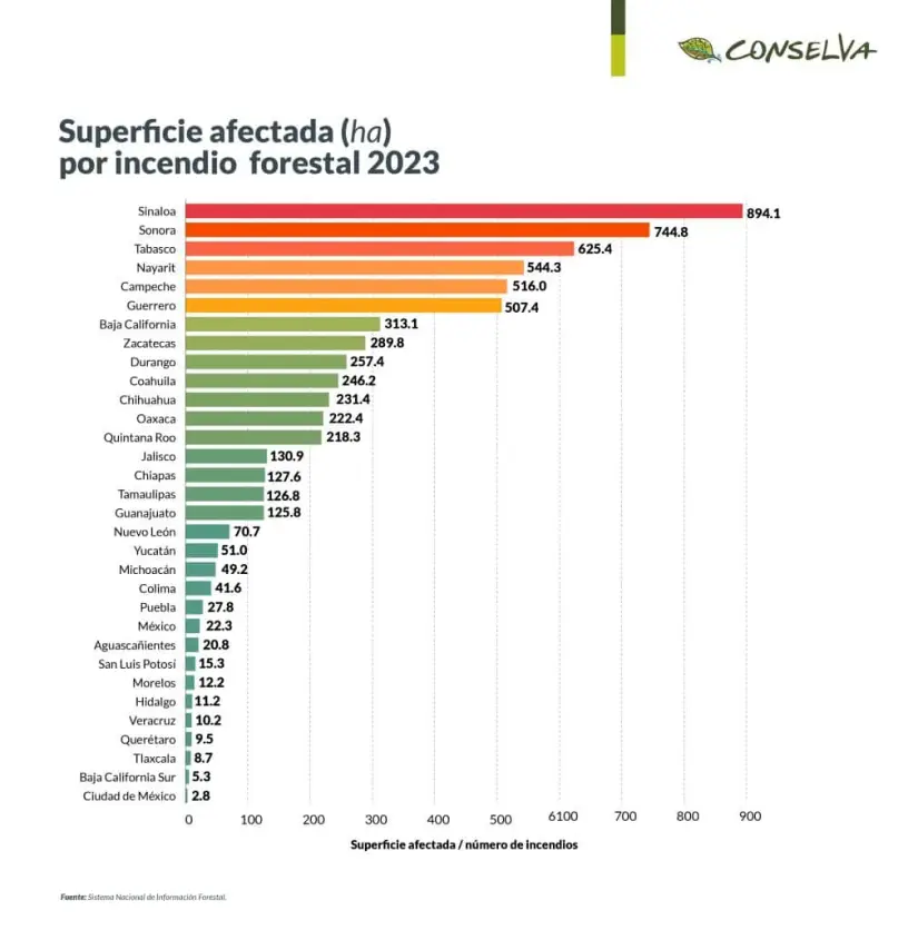 Superficie afectada por incendio forestal