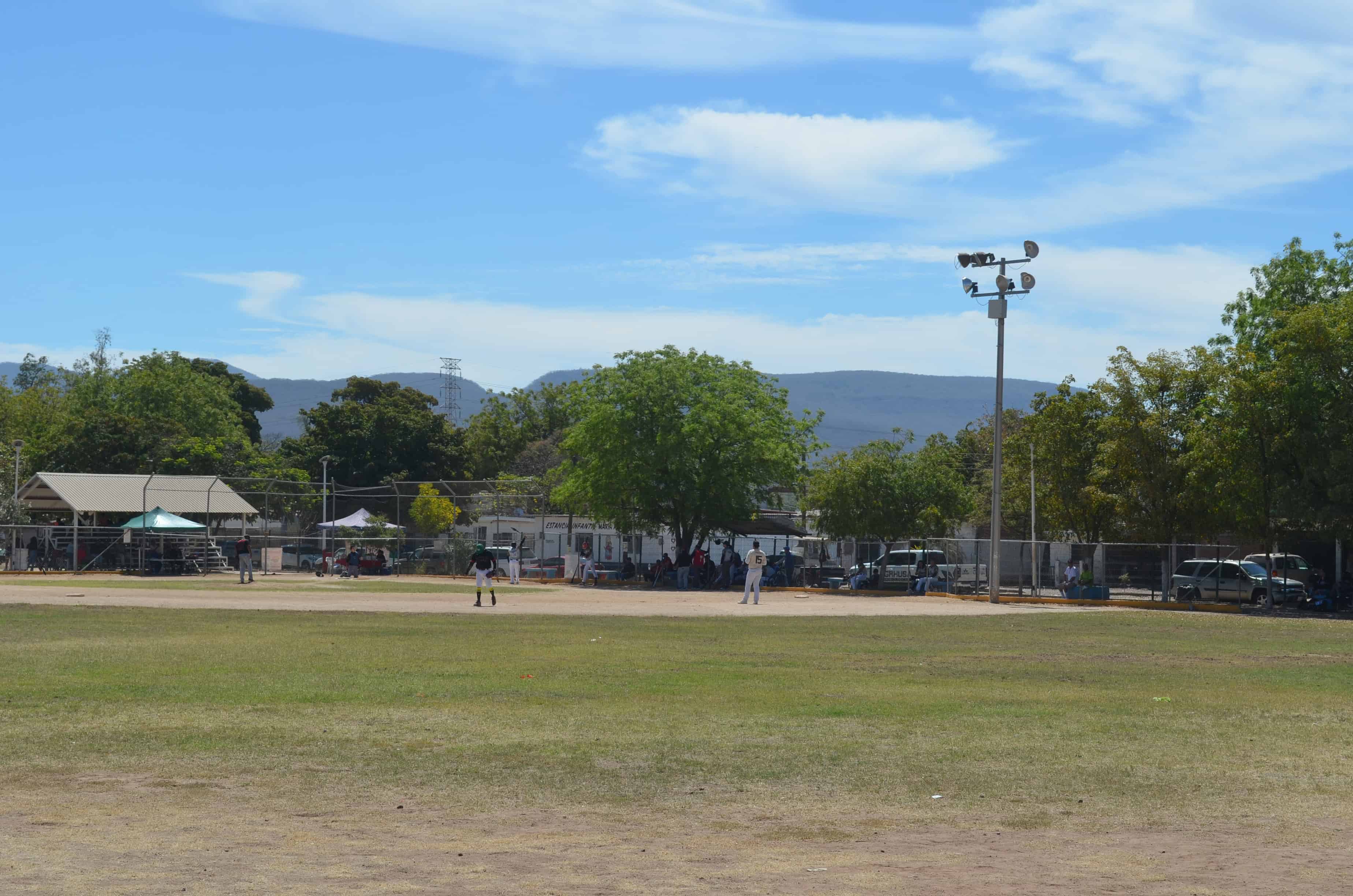 Imagen 5