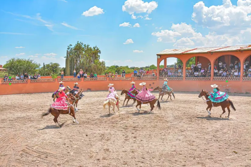 Habrá diversos espectáculos en la Vendimia más mexicana. Foto: Viñedos Azteca