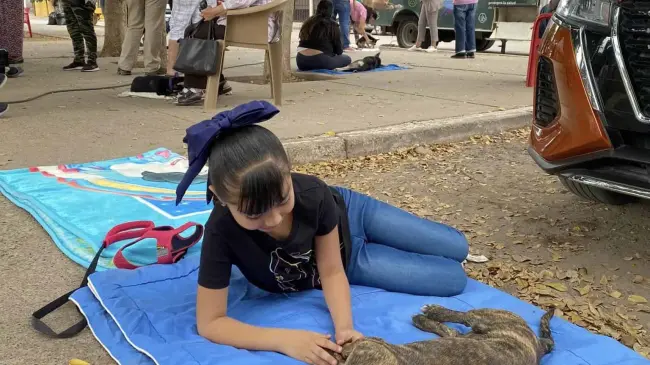 Esterilizar a una mascota es importante para prevenir enfermedades, reducir comportamientos agresivos y controlar la sobrepoblación animal.