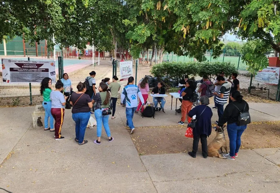 jornada de esterilización 