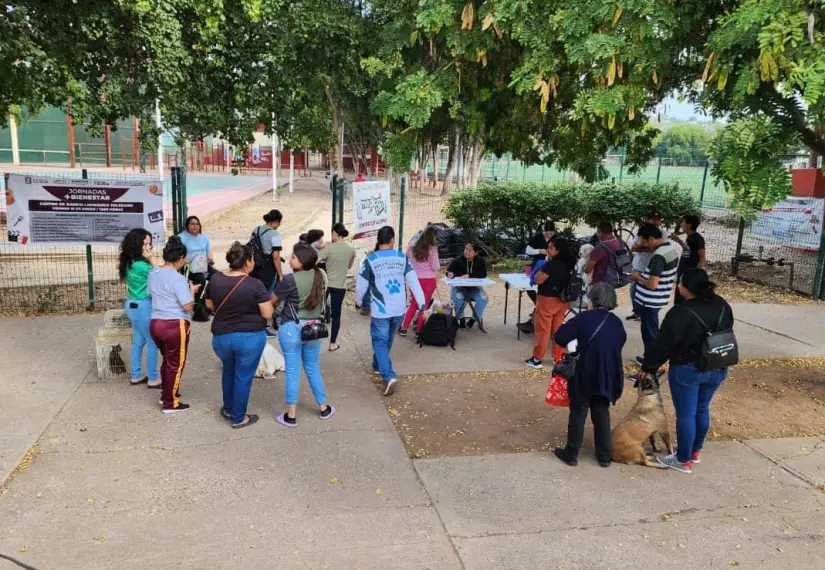 jornada de esterilización 