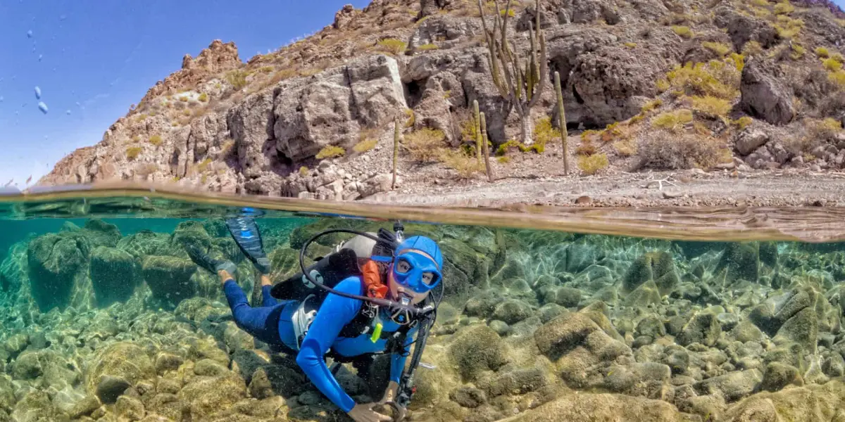 Crean cooperativas de buzos para conservación de los mares