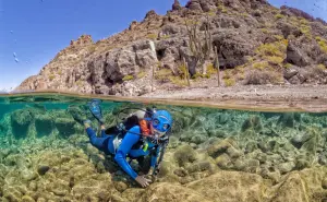 Crean primeras cooperativas de buceo en México por la iniciativa Atlas Aquatica