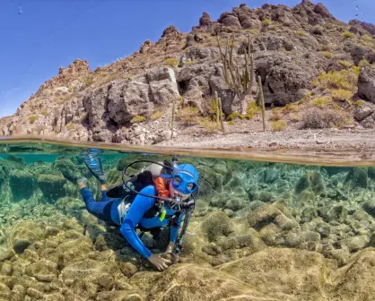 Crean primeras cooperativas de buceo en México por la iniciativa Atlas Aquatica