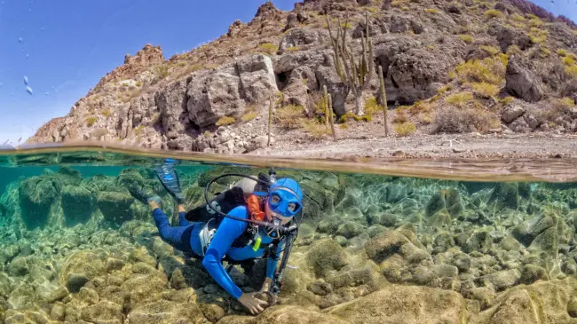 Crean cooperativas de buzos para conservación de los mares