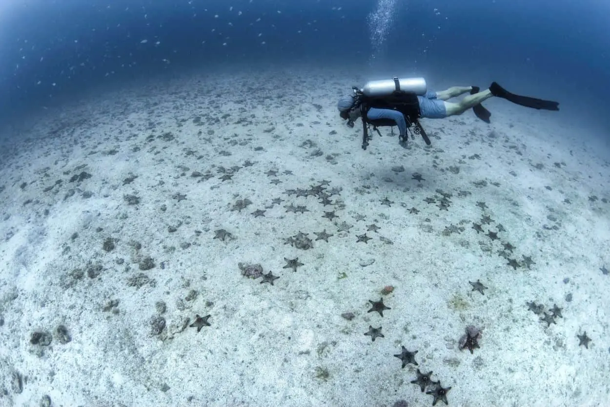 Atlas de Buceo, conocimiento de los océanos. Foto Octavio Aburto