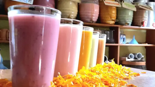 Consulta los detalles del Pulque Fest de la CDMX. Foto: Cortesía