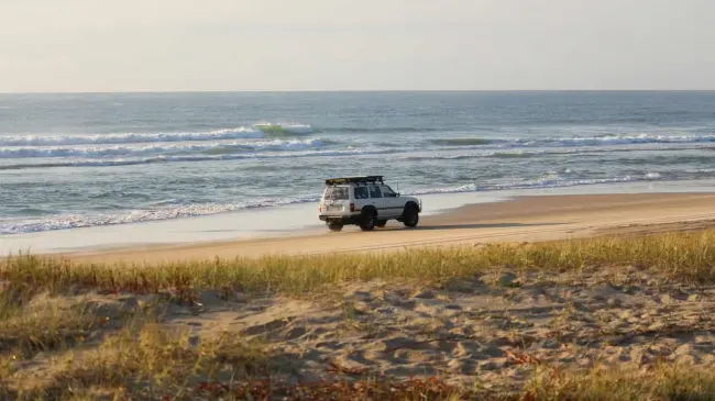Aquí los detalles sobre rentar un auto en Mazatlán. Foto: Unsplash