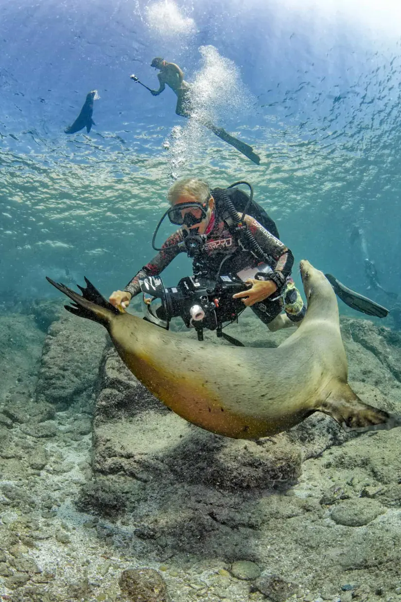 Mediante el Atlas de Buceo se precisan datos de ecosistemas. Foto Octavio Aburto