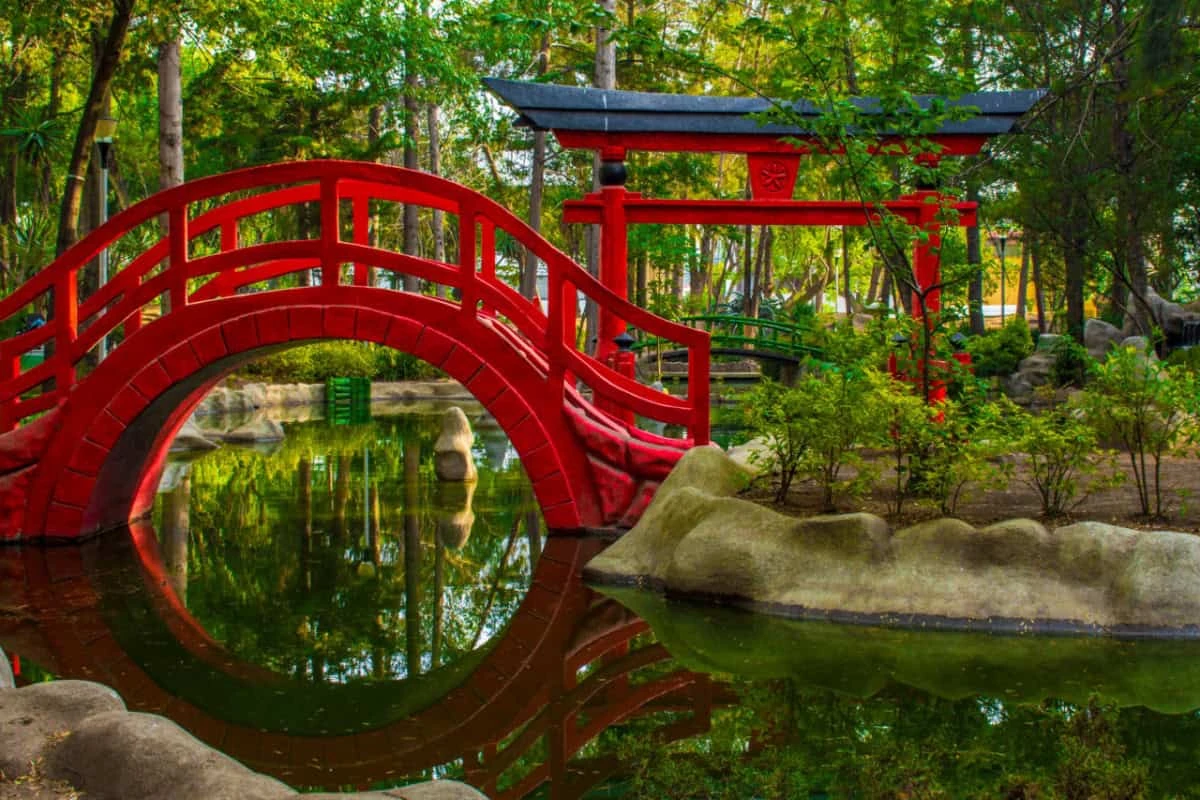 Este parque te transportará al Japón tradicional sin salir de la CDMX. Foto: Cortesía