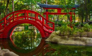 Conoce el parque japonés de CDMX, un tesoro oriental: historia y cómo llegar