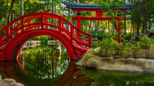 Este parque te transportará al Japón tradicional sin salir de la CDMX. Foto: Cortesía
