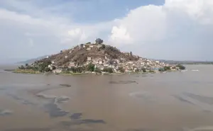 ¡Qué buena noticia! Michoacán plantará 1.5 millones de árboles para salvar el lago de Pátzcuaro