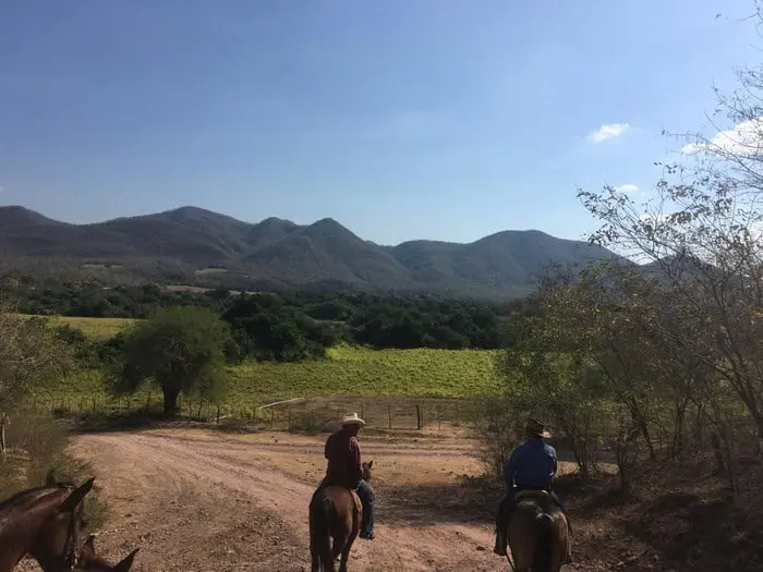 Agricultura y ganadería en la cuenca del Río Quelite