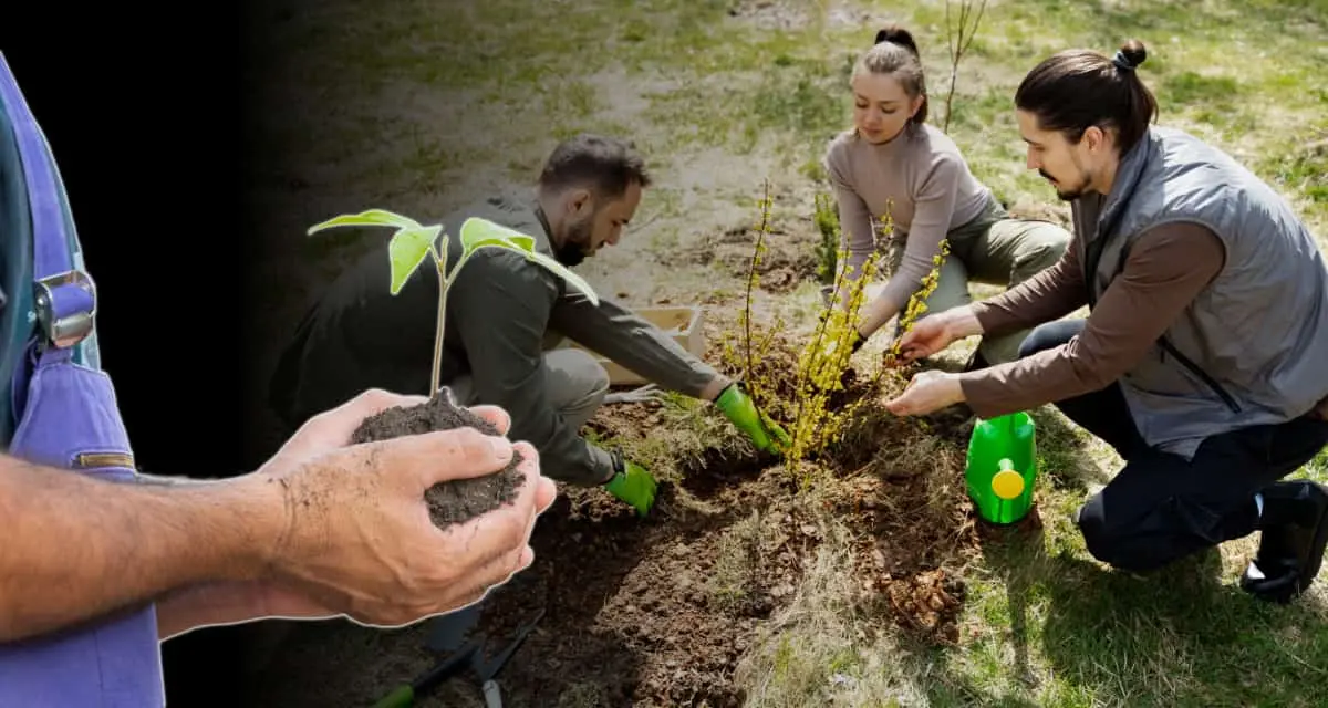 Importancia de la educación ambiental