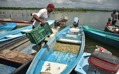 Lo que suceda en tierra imapcta las lagunas y mares