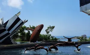 Viaje a las Profundidades: Mazatlán tendrá un museo dedicado a las ballenas