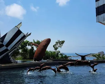 Viaje a las Profundidades: Mazatlán tendrá un museo dedicado a las ballenas
