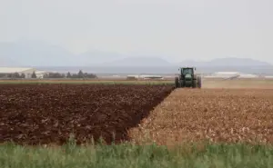 Desarrollo Rural de Chihuahua, compra seguro contra la sequía para más de 43 mil hectáreas