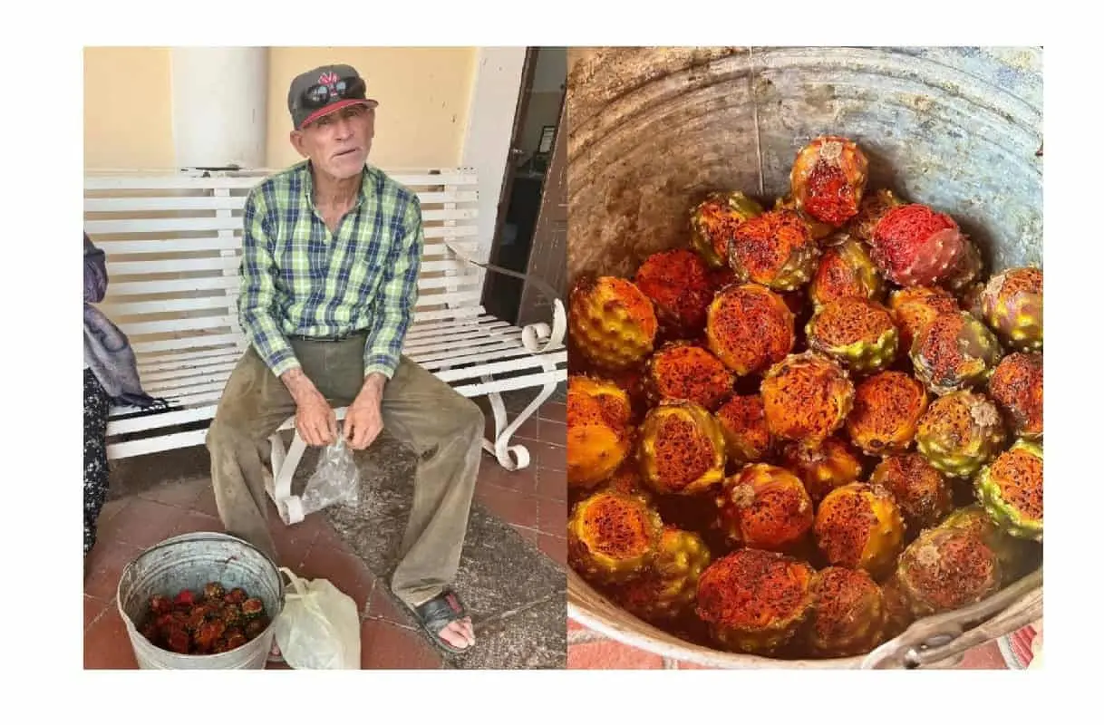 Don José lleva el sabor delicioso de la pitaya desde Choix hasta El Fuerte. Foto: Cortesía