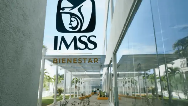 Hay dos maneras de comprobar tu registro ante el IMSS. Foto: IMSS