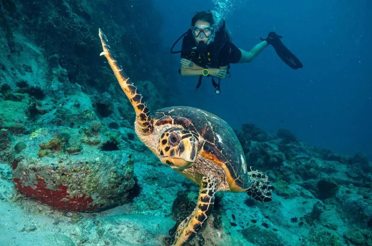 ¿Dónde se localiza Isla Mujeres y cómo llegar?