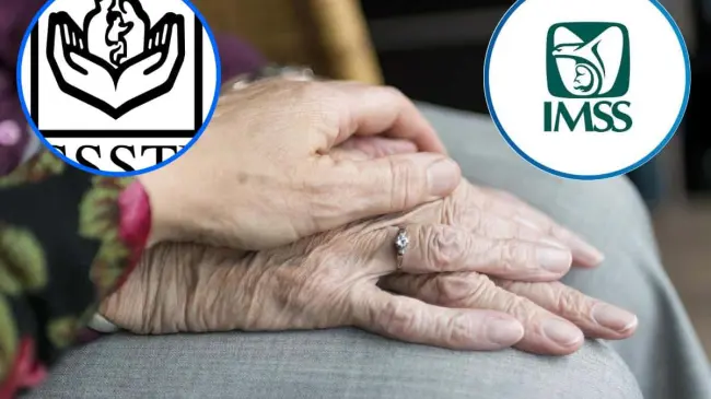 Calcular de cuánto será tu pensión del IMSS o ISSSTE es fácil y rápido.