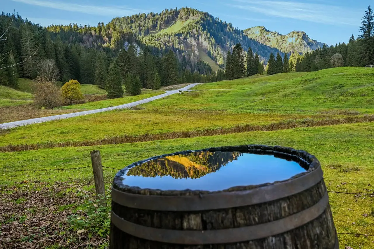 ¿Cómo recolectar adecuadamente el agua de la lluvia? Foto Pixabay