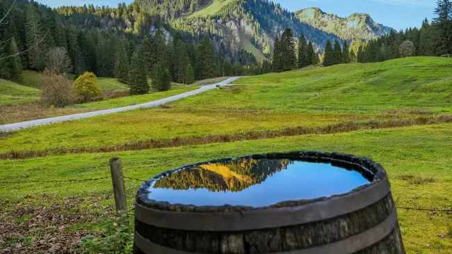 ¿Cómo recolectar adecuadamente el agua de la lluvia? Foto Pixabay