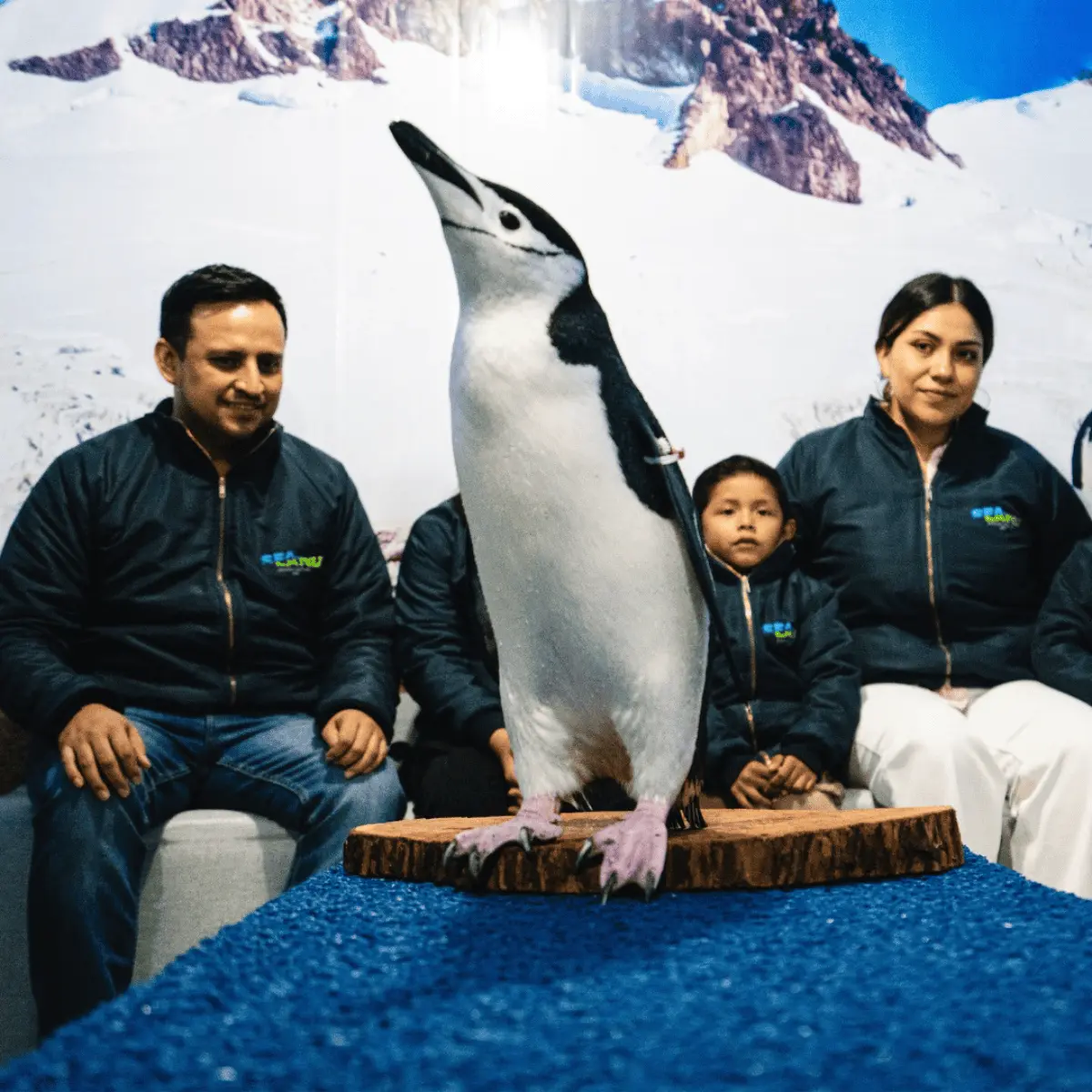 ¿Cuánto cuesta interactuar con pinguüinos en SeaLand León? Foto FB Sealand León
