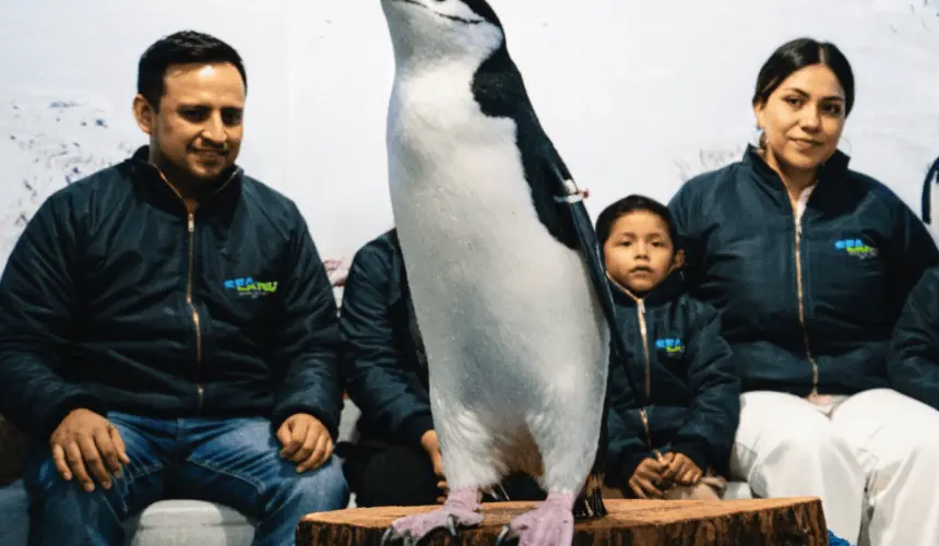 ¿Cuánto cuesta interactuar con pinguüinos en SeaLand León? Foto FB Sealand León