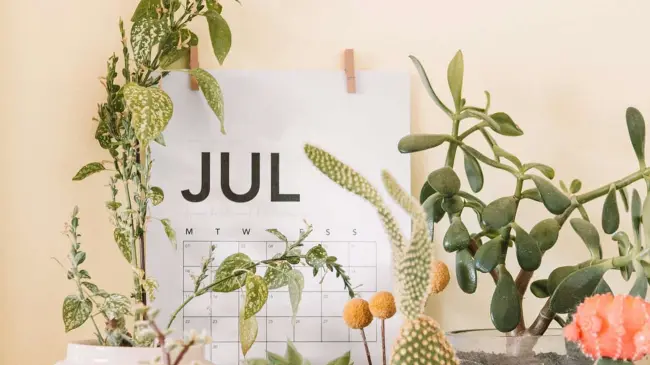 Mes de Julio.
