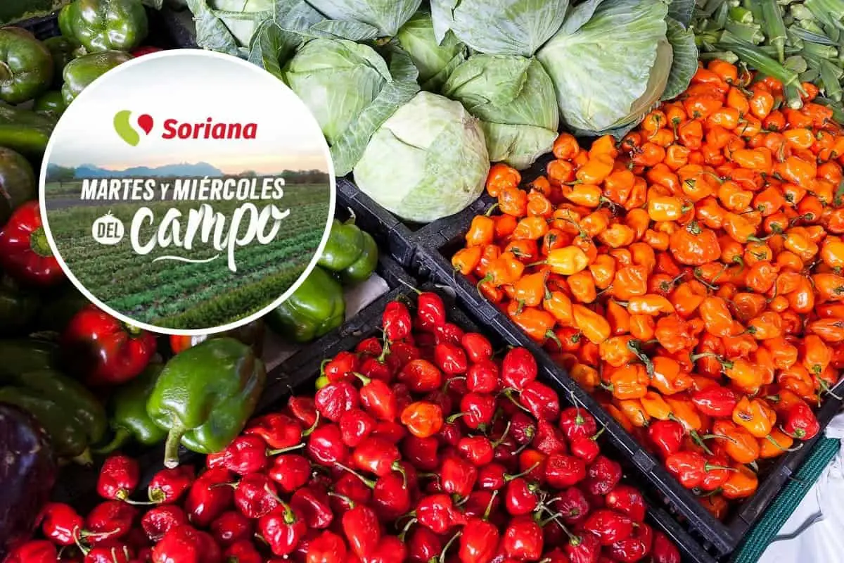 Estas son las mejores ofertas de Soriana en frutas y verduras.