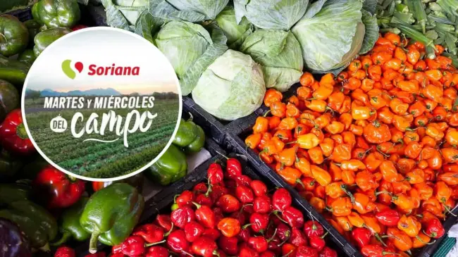 Estas son las mejores ofertas de Soriana en frutas y verduras.