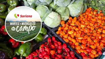 Martes y Miércoles del Campo en Soriana: ofertas 31 de diciembre y 1 de enero