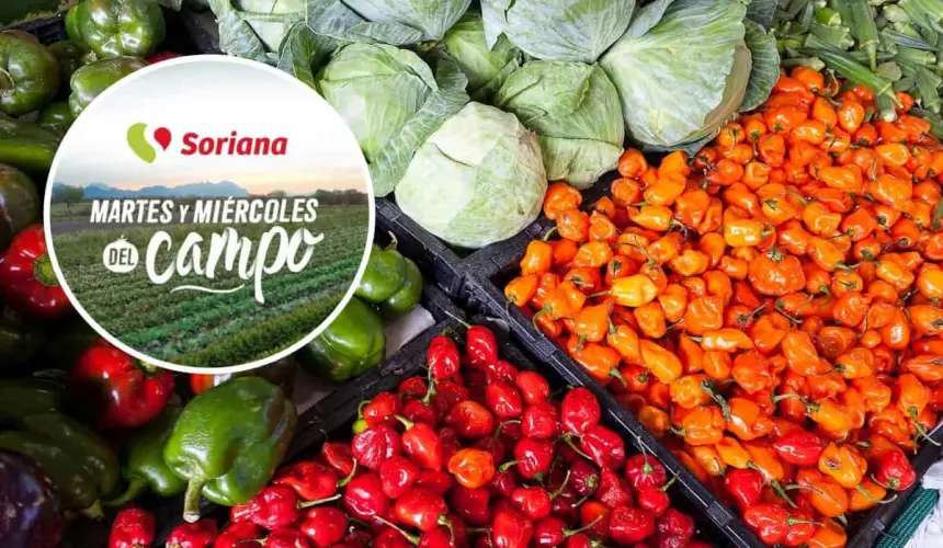 Te compartimos las ofertas del Martes y Miércoles del Campo cada semana.