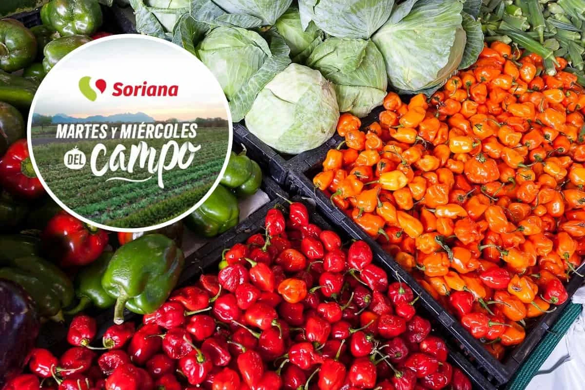 Soriana te consiente con nuevas ofertas cada semana. Edición de foto: TBN