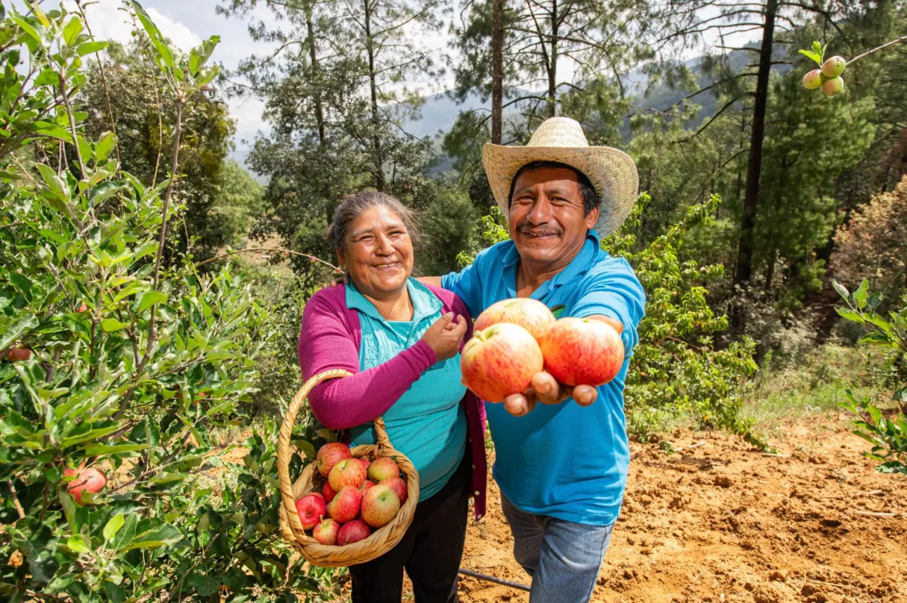 Feria de la Manzana en Santa Marha Latuvi, Oaxaca.