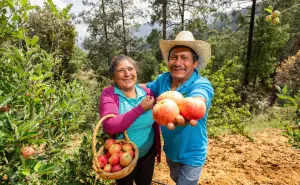 Feria de la Manzana  en Santa Marha Latuvi, Oaxaca. ¿Cuándo y qué actividades puedes encontrar?