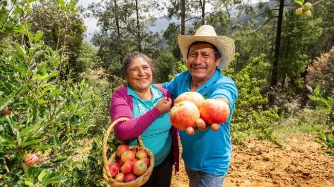 Feria de la Manzana en Santa Marha Latuvi, Oaxaca.