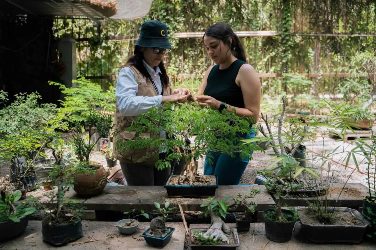 Regalarán árboles en el Jardín Botánico de Culiacán; entérate cuando y horarios.